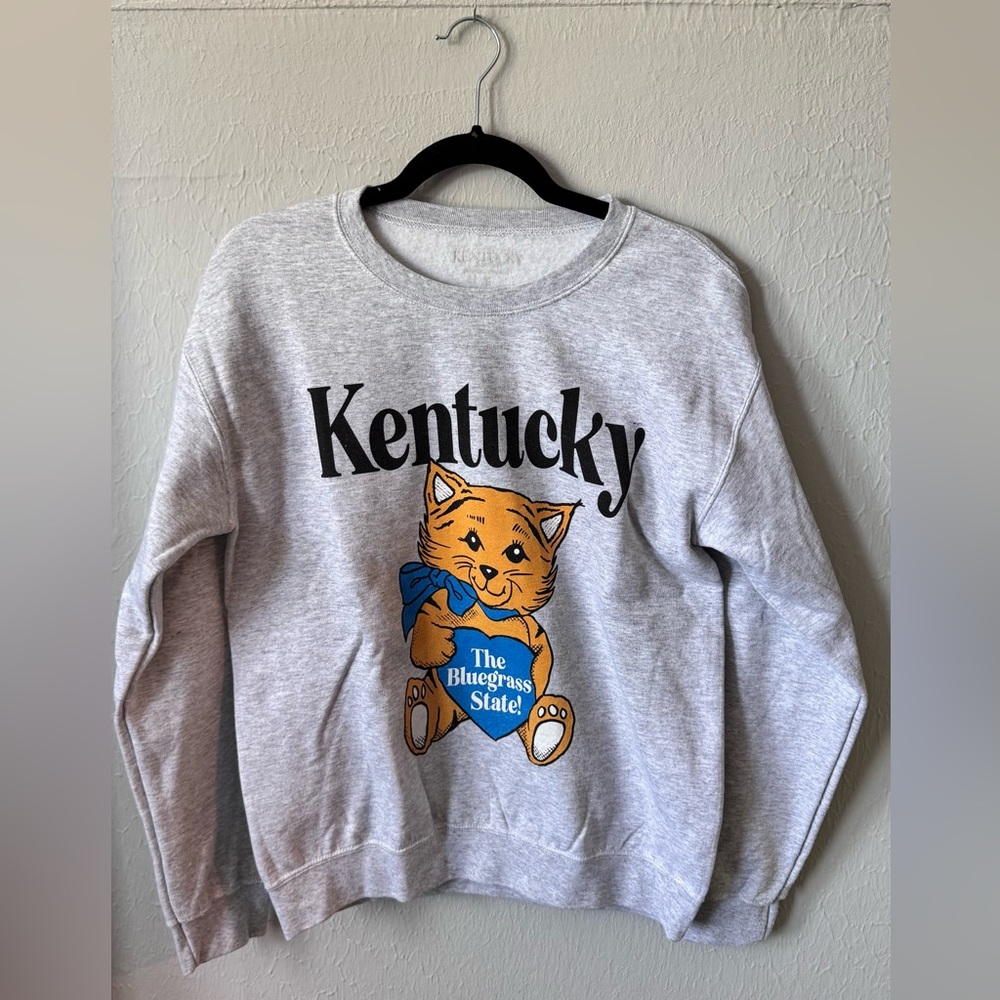 Shop Local Kentucky Graphic Sweatshirt — Gray with Orange Cat